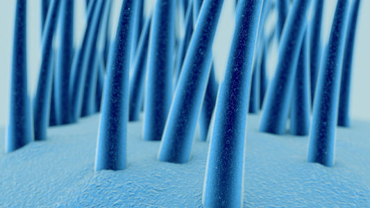 What is Female Pattern Hair Loss?
